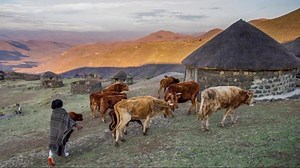 Explore Sesotho Fashion in Qacha, Lesotho