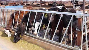 Watch the video to learn more about our site near Willcox, Arizona! | Riverview, LLP