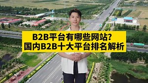 B2B平台有哪些网站？国内十大B2B平台知多少？