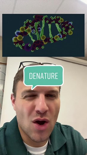 Protein Denaturation: Unfolding the Structure