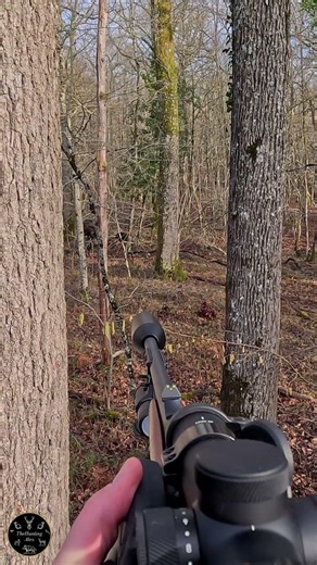 INTENSE WILD BOAR HUNTING ACTION | DRIVEN HUNT POV 4K