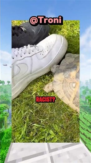 Why Do Turtles Hate Black? 😭