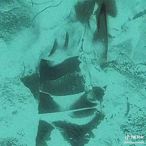 Obsessed With Her by Grimloverz: A Must-Listen Alternative Track