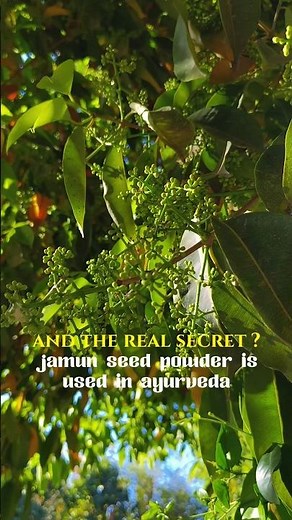 Jamun Tree Secrets 🌿 | 1 Fruit, 5 Hidden Health Benefits!