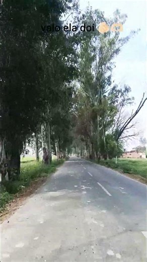 MT SP 125 Viral trick