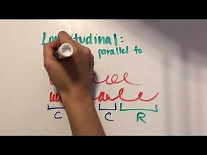 Types of Waves in Physics