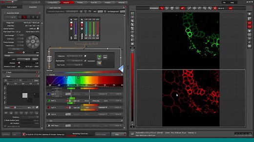 徕卡SP8共聚焦显微镜操作说明17：Mark&find