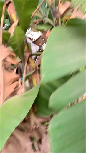 Peter Akah on Instagram: "DEAR FATHERS IN THE LORD; THIS IS FOR YOUR KIND AND URGENT ATTENTION ❗️🔥🙄 IS THIS YEAR STILL MY YEAR? 🎤😡 DADDIES PLEASE YOU ALL HAVE THE NEXT 48 HOURS TO RESOLVE MY CASE AND DO SOMETHING OR ELSE❗️🔥🙄 PLEASE TAG FOR ME👇🏽🤦🏽‍♂️ #myyearofflourishing #grateful #thanksgiving #peterfornigeria #enjoyyourlife"