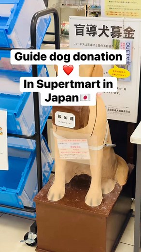Guide dog donation in Supermarket in Japan 🇯🇵❤️🙏🐕🐕‍🦺 # | Japan Gallery