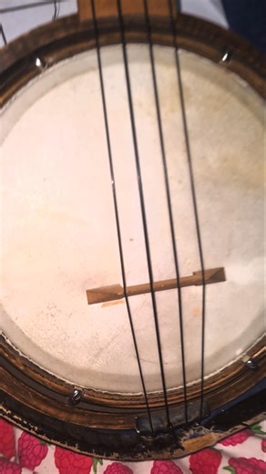 Beautiful 180-200yr old banjolele #antique #banjolele #ukulele #banjo #vintageinstruments