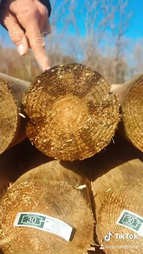 🐴 Wood Fence Posts 🌲 CCA Pressure-Treatment 101