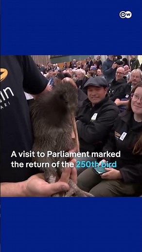 Kiwi birds return to New Zealand's capital city | DW News