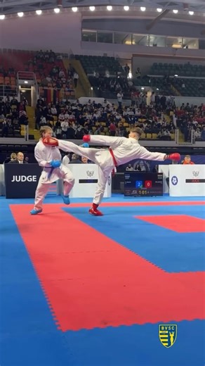 Wow 😲😲😲 #karate #viral #ytshorts #shorts #ytgroth #groth #martialarts