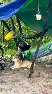 Peaceful Forest Camping With My Dog | Relaxing Hammock Life in the Wild