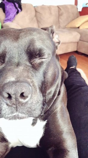 Cutest Nose Scrunch Challenge