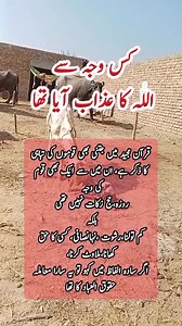 5.8M views · 62K reactions | مائ بسٹ  . . . . . . . #AncientDiscoveries #AlienMummy #OutofthisWorld #historyfacts #history #community #heritage #archaeoloynews #archaeologist #archaeology #archaeological #archaeologylife #romanempire #roman #RomanBritain #romanbritain #historylovers #historyinthemaking #historymatters #history #historyfactscl | دوکوٹہ میلسی ٹبہ سلطان پر وہاڑی لودھراں اڈا ذخیرہ چوکمیتلا ملتان ٹی وی | Facebook