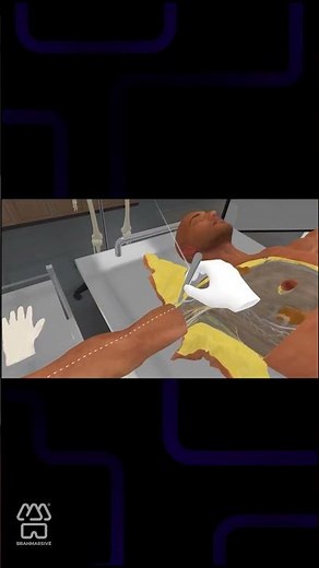 Master Anatomy Dissection in 3D/4D VR — Boost Your Recall Instantly!