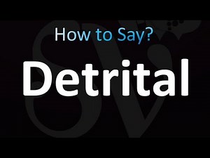 How to Pronounce Detrital (correctly!)