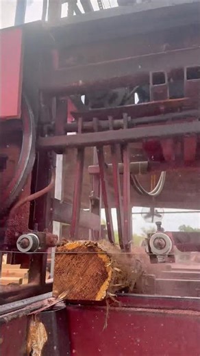 Red Cedar Cut into 4x4 Post for Garden Beds Next Year! | Cooks AC36 #sawmill