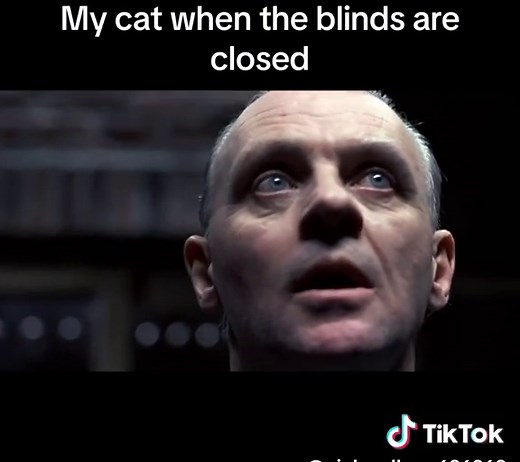 Pinhead Larry on TikTok