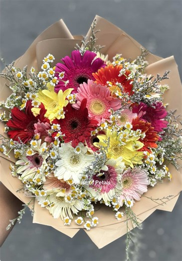 Gerbera Bouquet: The Perfect Gift for Any Occasion