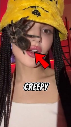 Spider Looks Under the Microscope!😱