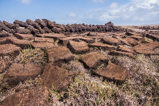 The problem with peat -- and what could replace it?