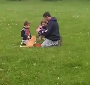 PsyChO FaMiLy LeAvE TheIr KitTeN tO DiE iN mAssSivE RoCkET eXplOsIoN | Skeptical Kitten