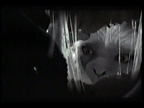 Disney Dinosaur Coming To Theaters Movie TV Spot (2000)