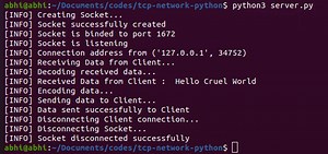 TCP Client-Server Network using Socket Programming Python
