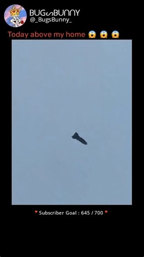 That Weird Flying Thing I Saw From My Window | Meme #25