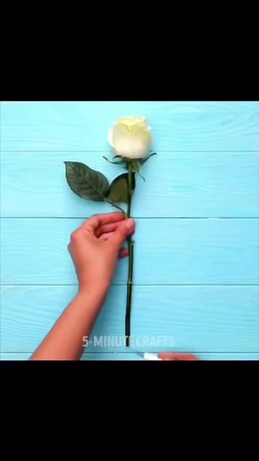 Saito さいとう (@saito09)のdisney 100th card gameの動画