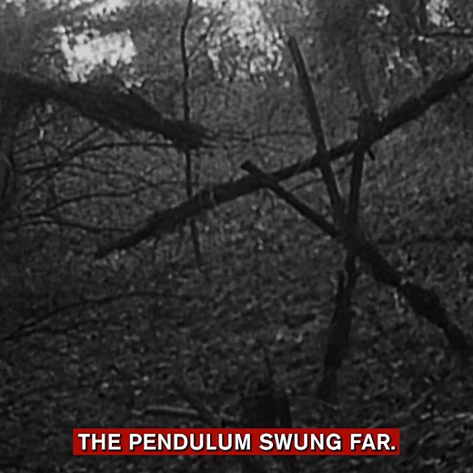 65K views · 168 reactions | Last chance to order the ultimate '90s horror documentaries. Order by midnight Halloween to get Blu-rays, posters, your name in the credits, and more. | 80shorrordoc | Facebook