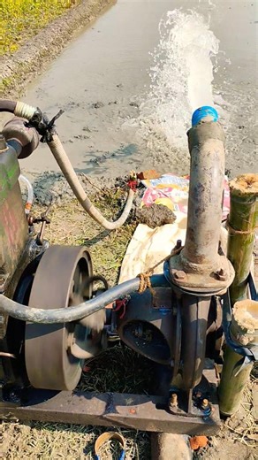 Diesel Mechanic Engine | Steam Engine | Cold Start | Diesel Engine Running Video | Diesel Water Pump