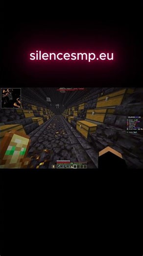 Minecraft SMP Server – SilenceSMP.eu | meine base