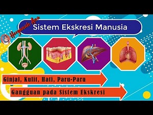Sistem Ekskresi Manusia Kelas 8 SMP