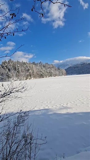 I love Nature #austria #winter #austriannature #nature #austrianalps @-SESC- Melon_Thunder @☦️NeverLoseYourFaith☦️
