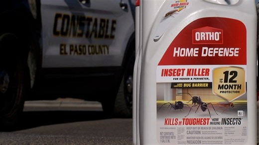 City of Socorro to enforce pecan shell ordinance