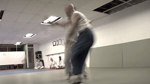 HAPKIDO! GrandMaster Hwang In Shik 🙏 | ALL Hapkido