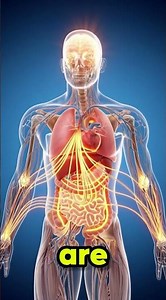 7 Powerful Health Benefits of Ginger