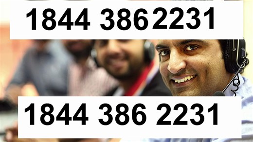 Blue wallet Support Options Explained™ — Complete U.S. User Guide (2025)