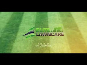 Elite Lawn Care: Elevating the Beauty and Health of the Beauty and Health of Your Outdoor Spaces