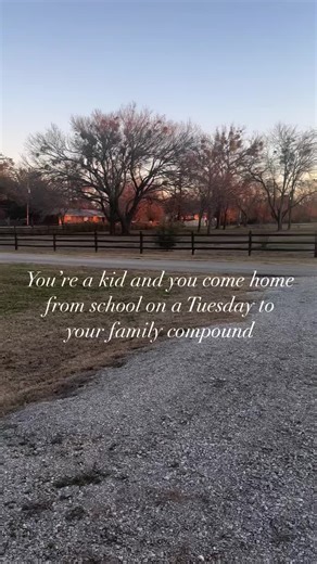 Creating a Family Compound: Embracing Freedom and Togetherness