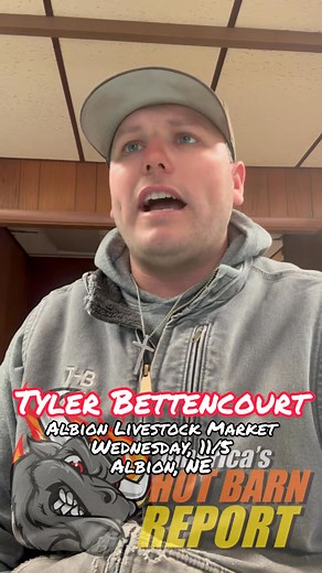 6.7K views · 56 reactions | Massive sale going down this week in Albion NE! Tyler and the crew are ready for a barn burner! Watch them sizzle live on CattleUSA.com! | Hot Barn Report | Facebook