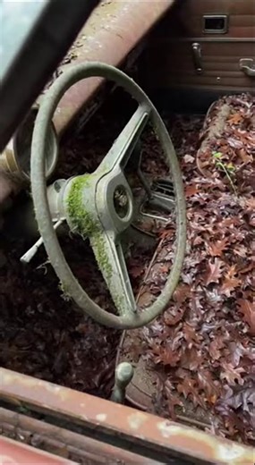 This Car Was Left to Disappear Here #abandonedcars #classiccars #barnfind #hiddencarfindsusa