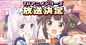 NEKO Works宣布《NEKOPARA》TV動畫化決定！愛貓就要____ ❤