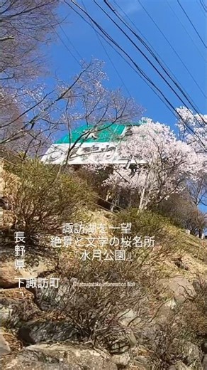 諏訪湖を一望 絶景と文学の桜名所『水月公園』信州・#長野県・下諏訪町(しもすわまち)｜春#ドライブ#桜