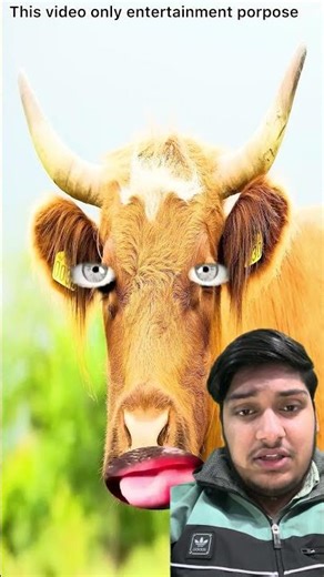 Introducing the "VitaWear SmartBand," a next-generation wearable gadget🎉