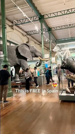 This is ALL FREE to VISIT in Madrid Spain