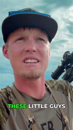 Missing Shots: Prairie Dog Hunting Challenges!